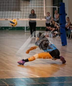 DSC_4102.jpeg