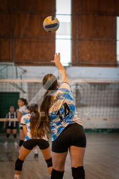 DSC_4109.jpeg