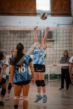 DSC_4113.jpeg