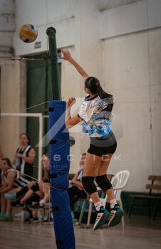 DSC_4115.jpeg