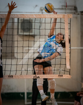 DSC_4116.jpeg