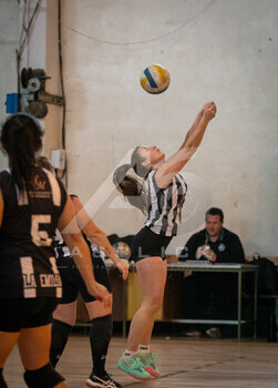 DSC_4203.jpeg23