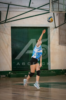 DSC_4205.jpeg25