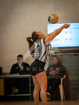 DSC_4207.jpeg26