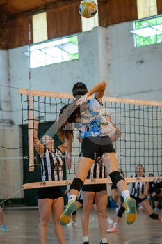 DSC_4253.jpeg6