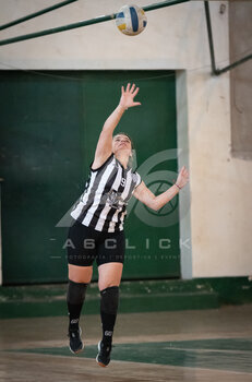 DSC_4304.jpeg34