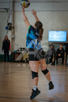 DSC_4310.jpeg35