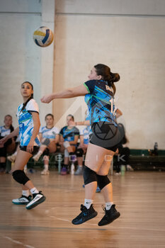 DSC_4314.jpeg37