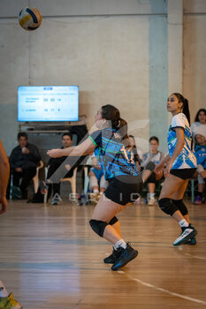 DSC_4317.jpeg39