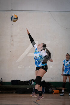 DSC_4336.jpeg9