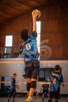 DSC_4386.jpeg