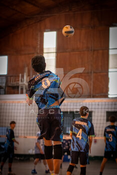 DSC_4387.jpeg