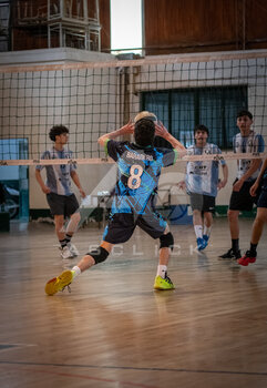 DSC_4393.jpeg