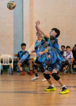 DSC_4449.jpeg