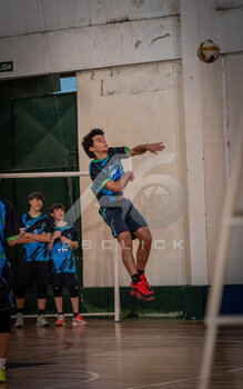 DSC_4478.jpeg1