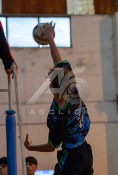 DSC_4559.jpeg2