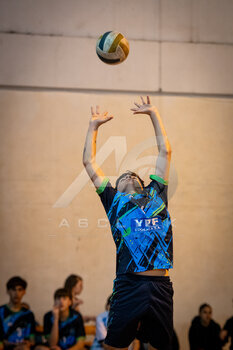 DSC_4596.jpeg16