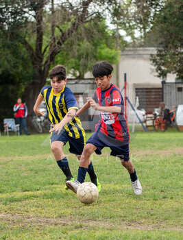 DSC_4771.jpeg