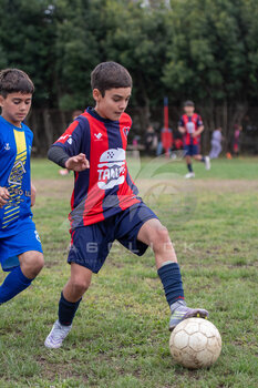 DSC_4774.jpeg