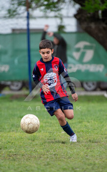 DSC_4788.jpeg