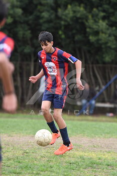 DSC_4796.jpeg