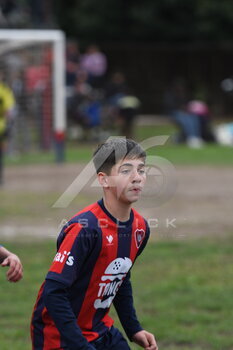 DSC_4813.jpeg