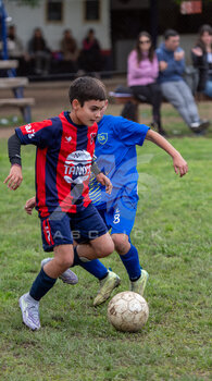 DSC_4822.jpeg