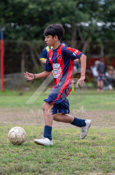 DSC_4837.jpeg
