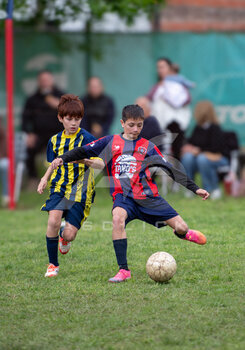 DSC_4847.jpeg