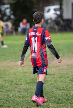 DSC_4861.jpeg