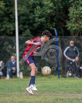 RIVADAVIA 2014