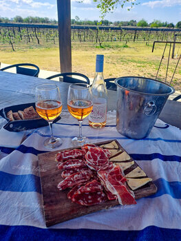 Bodega Terra Camiare