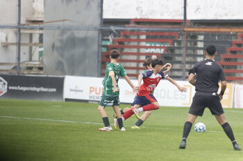 _MG_6126.JPG6