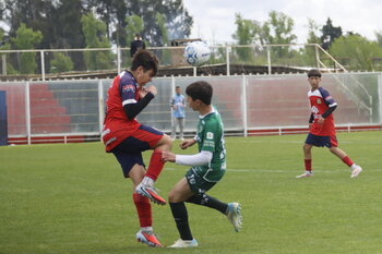 _MG_6532.JPG