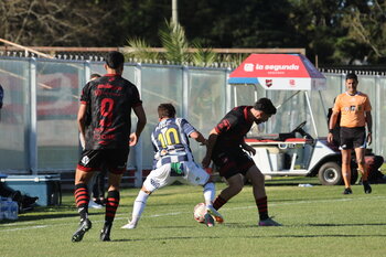 IMG_3053.JPG33
