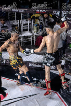 DSC04764.jpg32