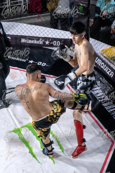 DSC04772.jpg35