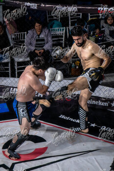 DSC05022.jpg23