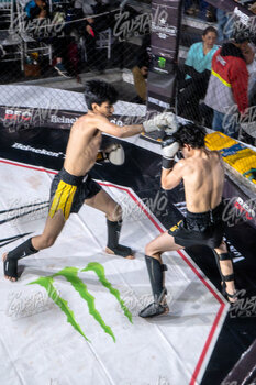 DSC05140.jpg8