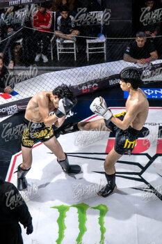 DSC05147.jpg14