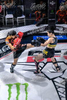 DSC05337.jpg19