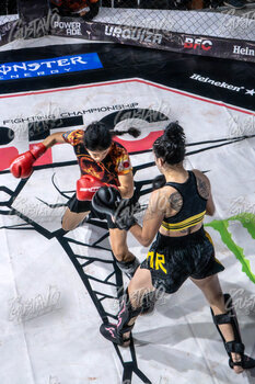 DSC05344.jpg22