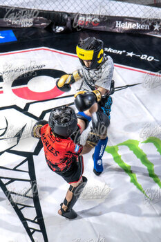 DSC05543.jpg19