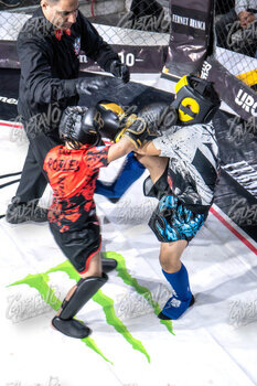 DSC05545.jpg20