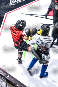 DSC05563.jpg30