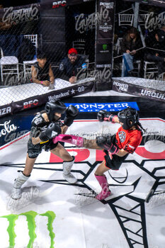 DSC05652.jpg33