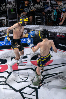 DSC05726.jpg33