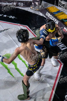 DSC05730.jpg37