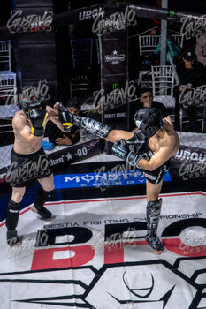 DSC05772.jpg20