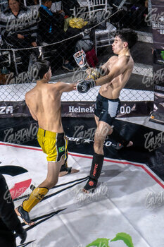 DSC05914.jpg29